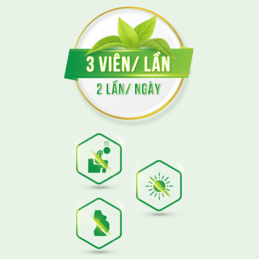 Bổ Thận Bình Đông - Bổ thận, hỗ trợ giảm triệu chứng đau lưng, mỏi gối, tiểu đêm – hộp 60 viên nang