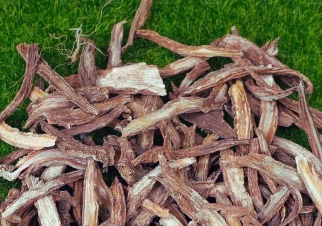 Hình ảnh về Dược liệu tục đoạn sau khi đã được bào chế