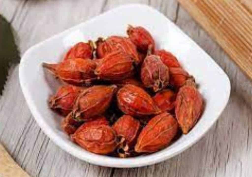 Hình ảnh quả cây chi tử được dùng làm thuốc