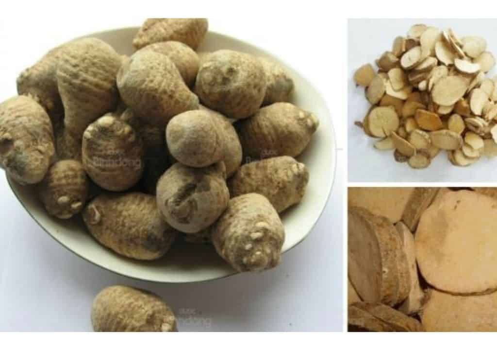 Hình ảnh cây trạch tả sau khi được phơi khô và chuẩn bị dùng làm thuốc