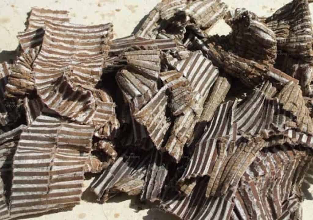Hình ảnh vỏ cây đỗ trọng từ cây đỗ trọng sau khi đã được phơi khô và chế biến