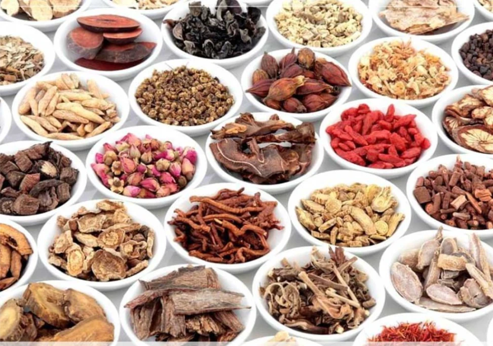 Hình ảnh các vị thuốc đông y khác dùng làm thuốc