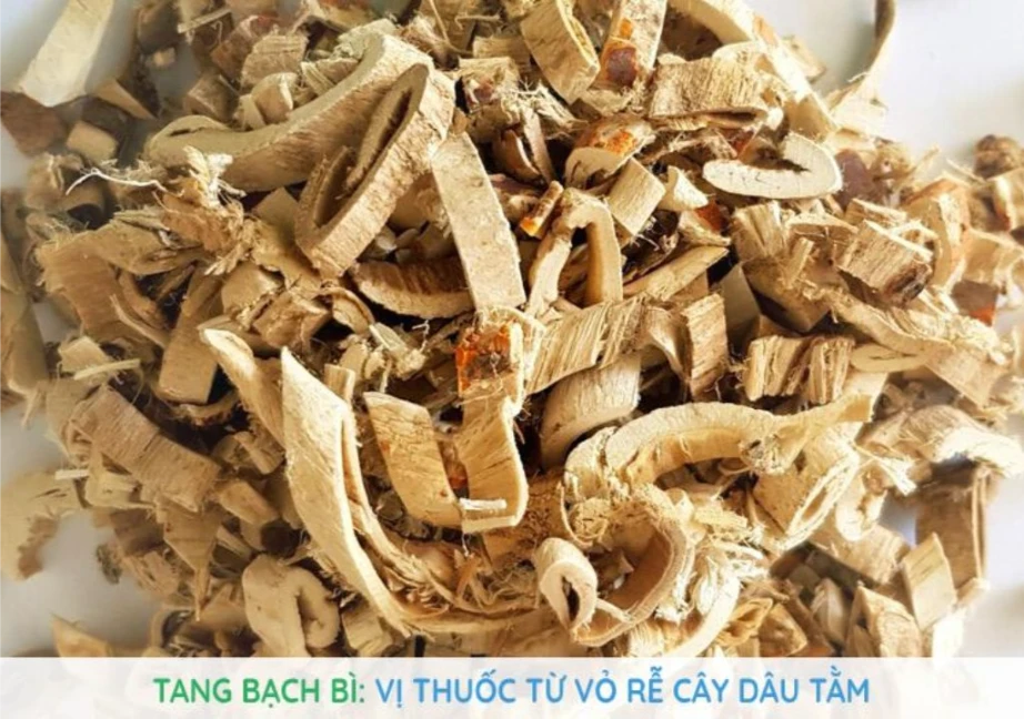 Hình ảnh dược liệu Tang bạch bì sau chế biến