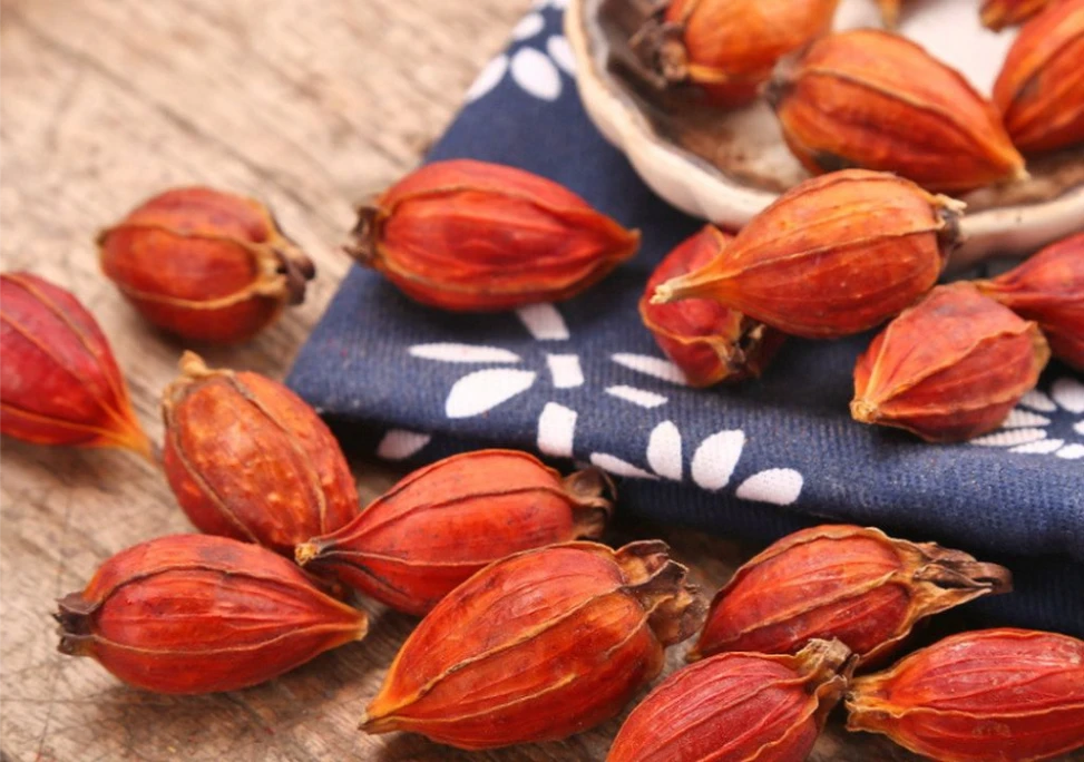 Hình ảnh quả cây Tiên chi được dùng làm thuốc