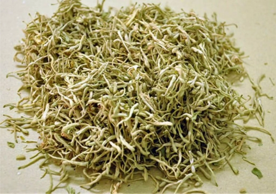 Hình ảnh về hoa kim ngân được dùng làm thuốc