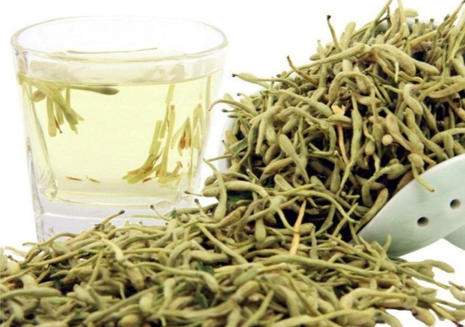 Hình ảnh về vị thuốc Kim ngân hoa