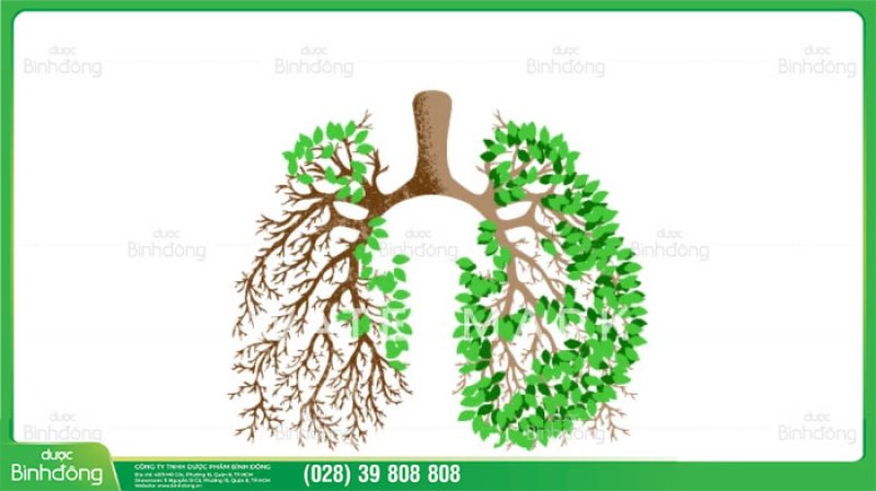 Tại sao phải giải độc phổi? 1233633495
