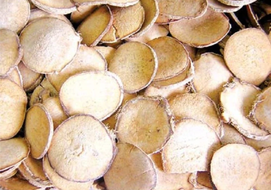 Trạch tả sau khi được phơi khô