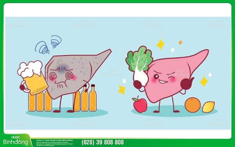 Uống quá nhiều rượu, bia là nguyên nhân phổ biến nhất gây tổn thương gan.