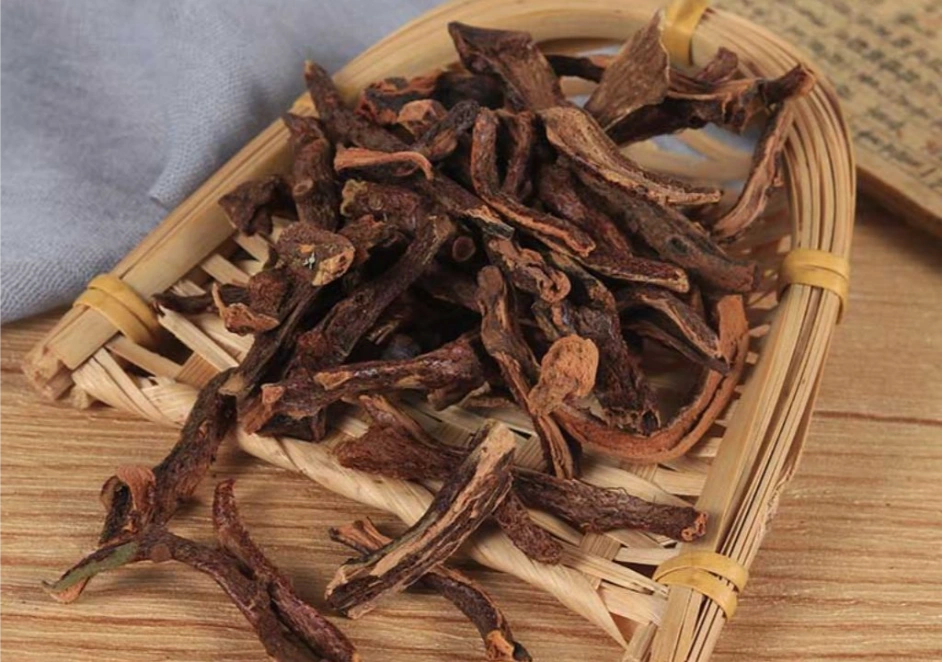 Vị thuốc Cốt toái bổ sau chế biến
