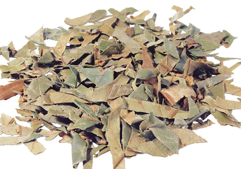 Hình ảnh vị thuốc tỳ bà diệp sau khi được bào chế làm thuốc