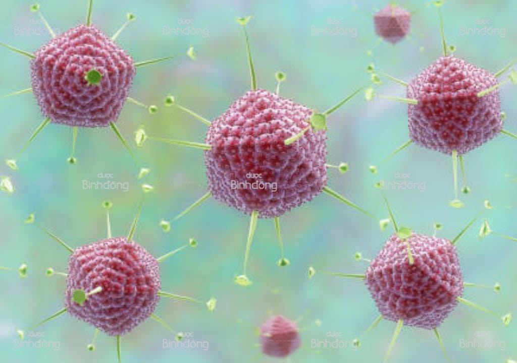 Hình ảnh mô tả Virus gây viêm amidan