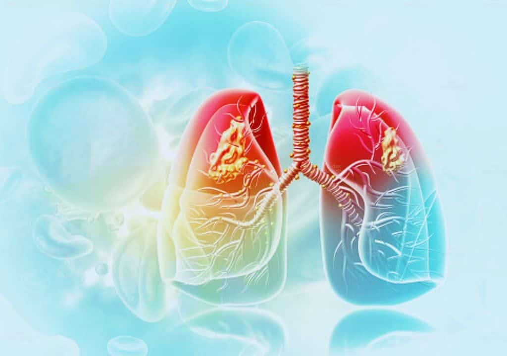 Hình ảnh mô tả chân thực về quả phổi trong bộ phận cơ thể của con người