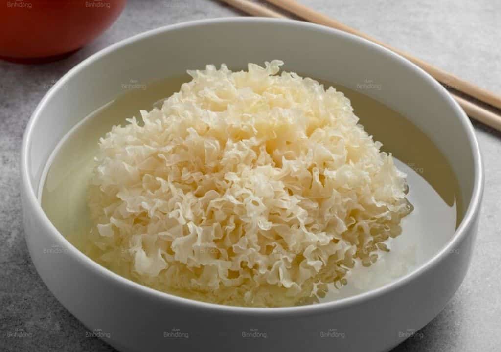 7 cây thuốc nam trị ho ra máu
