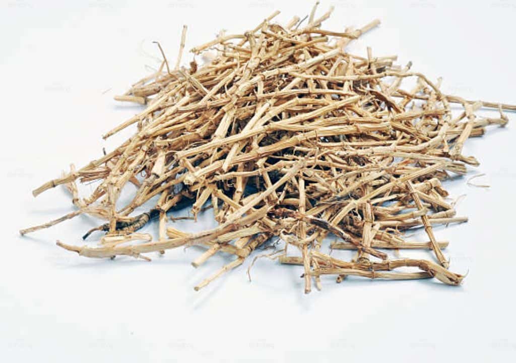 7 cây thuốc nam trị ho ra máu