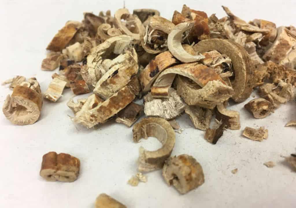 7 cây thuốc nam trị ho ra máu
