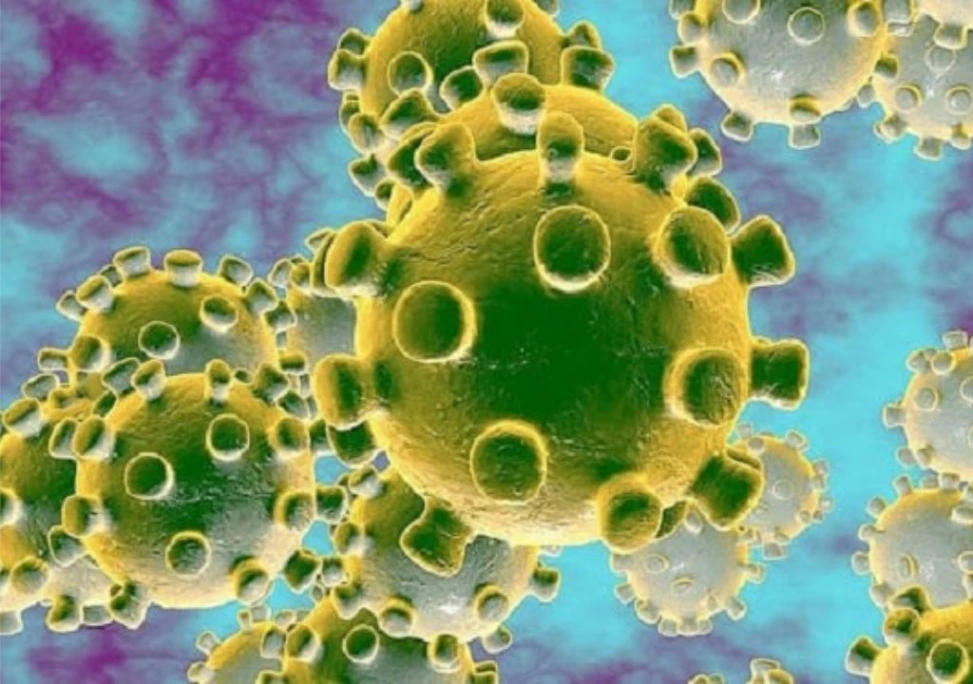 Hình ảnh virus covid