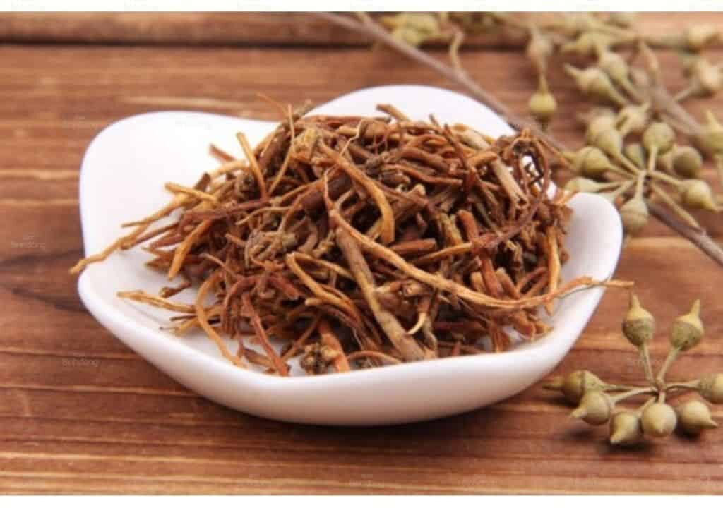 Cây long đởm thảo