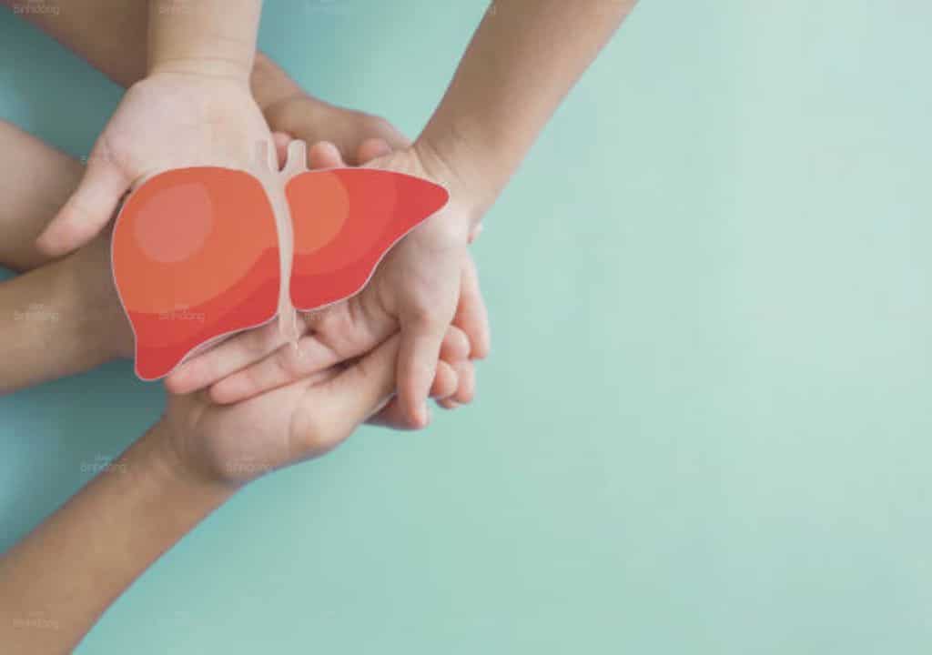 Hình ảnh người đàn ông đang cầm mô hình mô phỏng gan