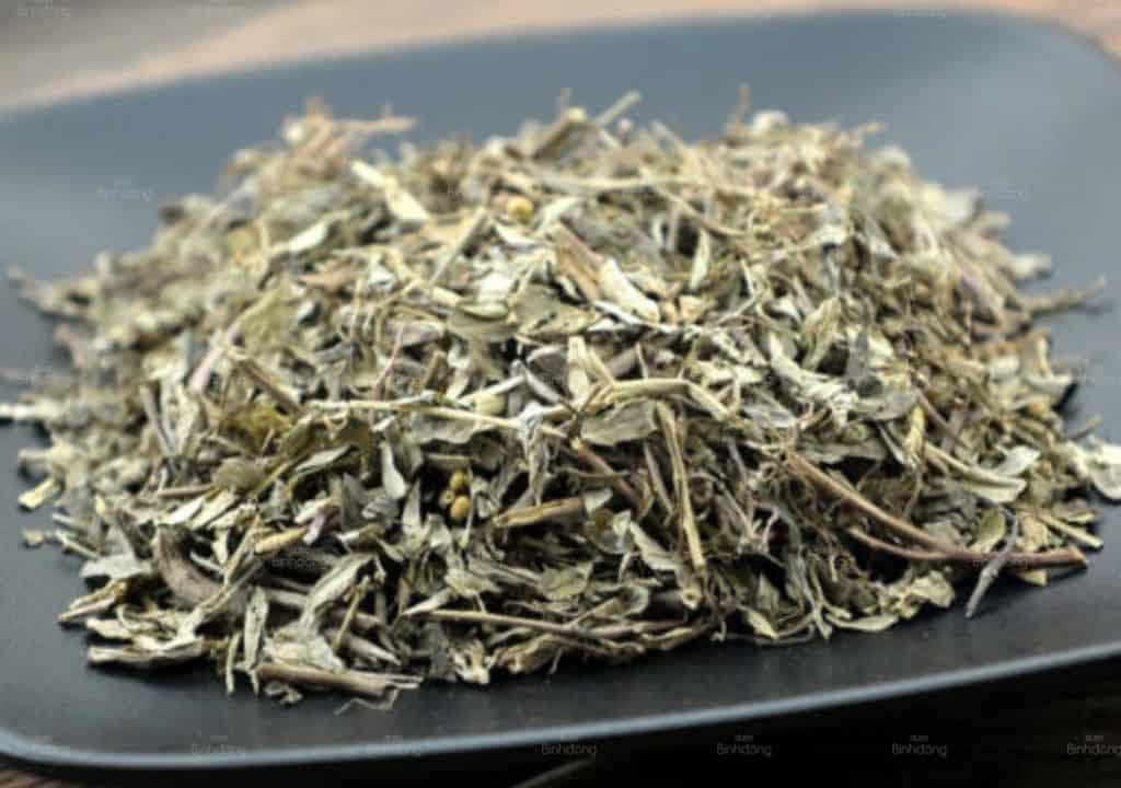 Cây Diệp hạ châu