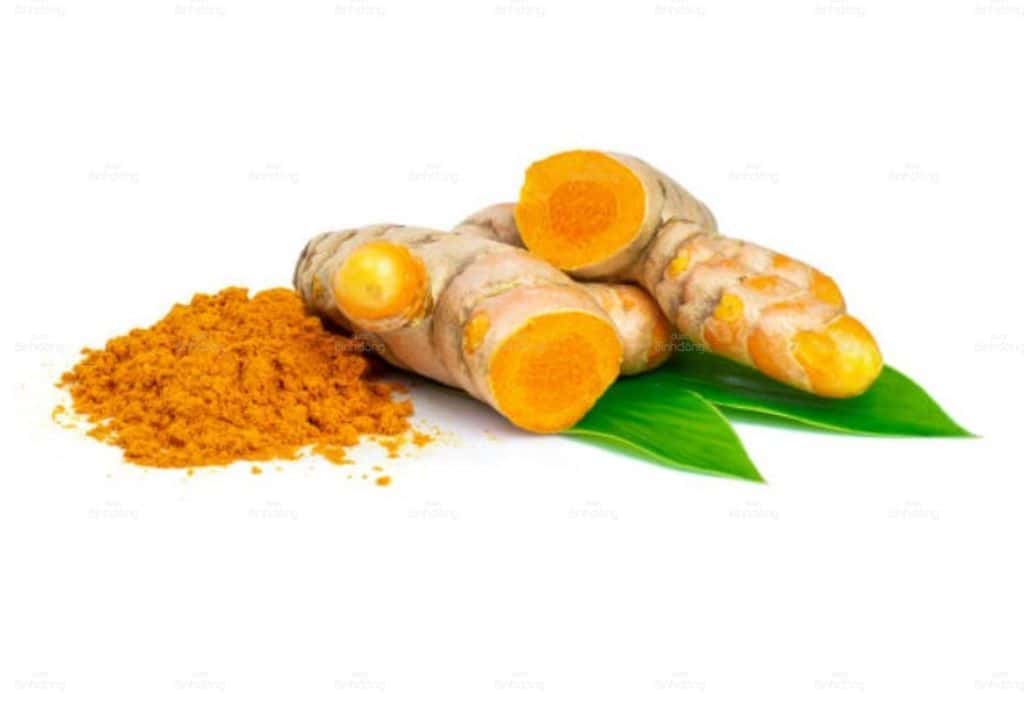 Hình ảnh về cây nghệ tươi