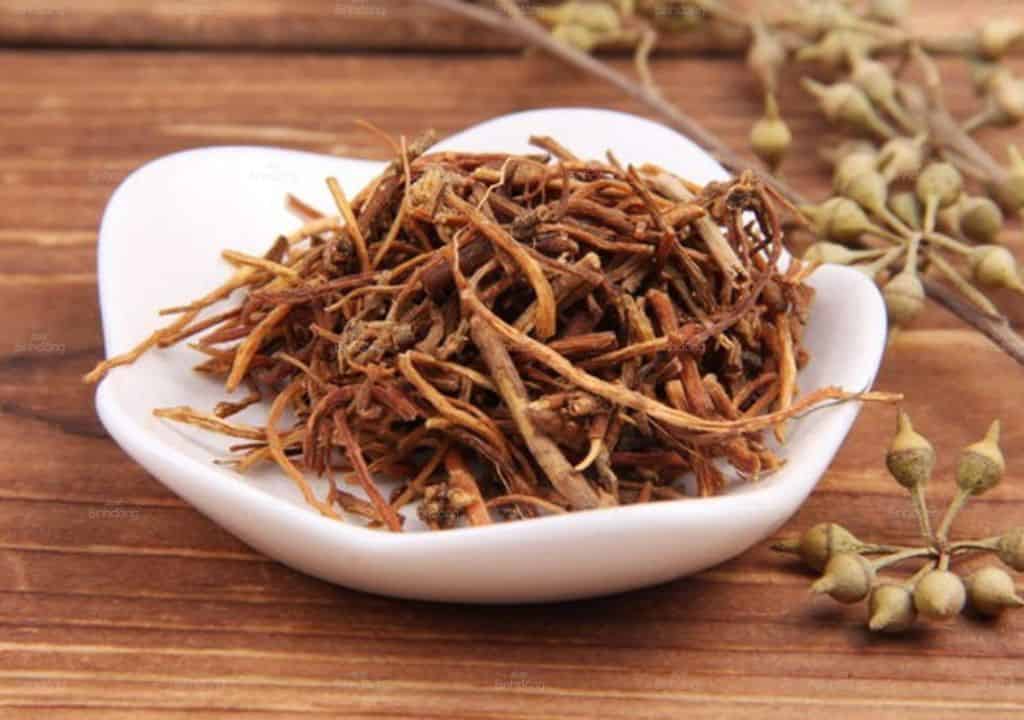 Cây thuốc nam giải độc gan Long đởm thảo
