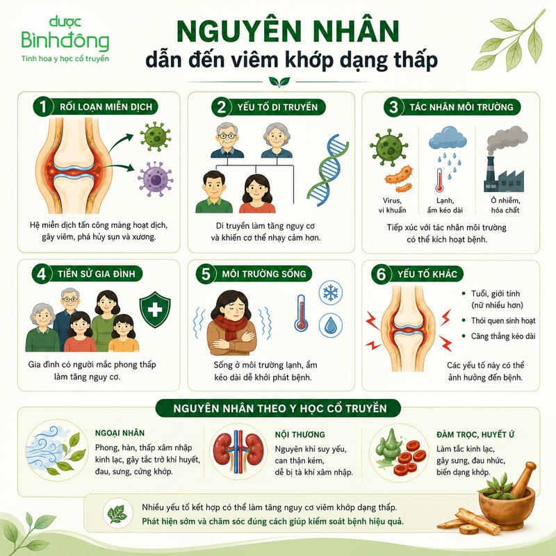 Nguyên nhân dẫn đến tình trạng thấp khớp