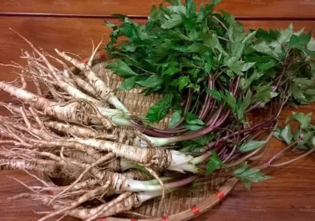 Vị thuốc đương quy