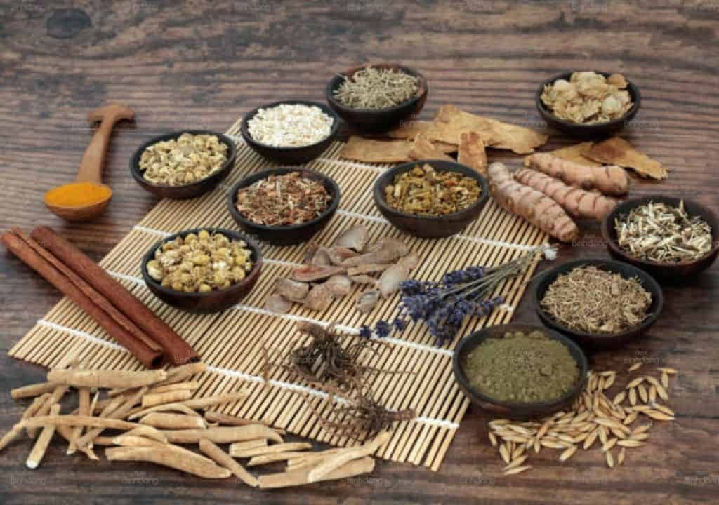 Hình ảnh về các vị thuốc điều trị bệnh