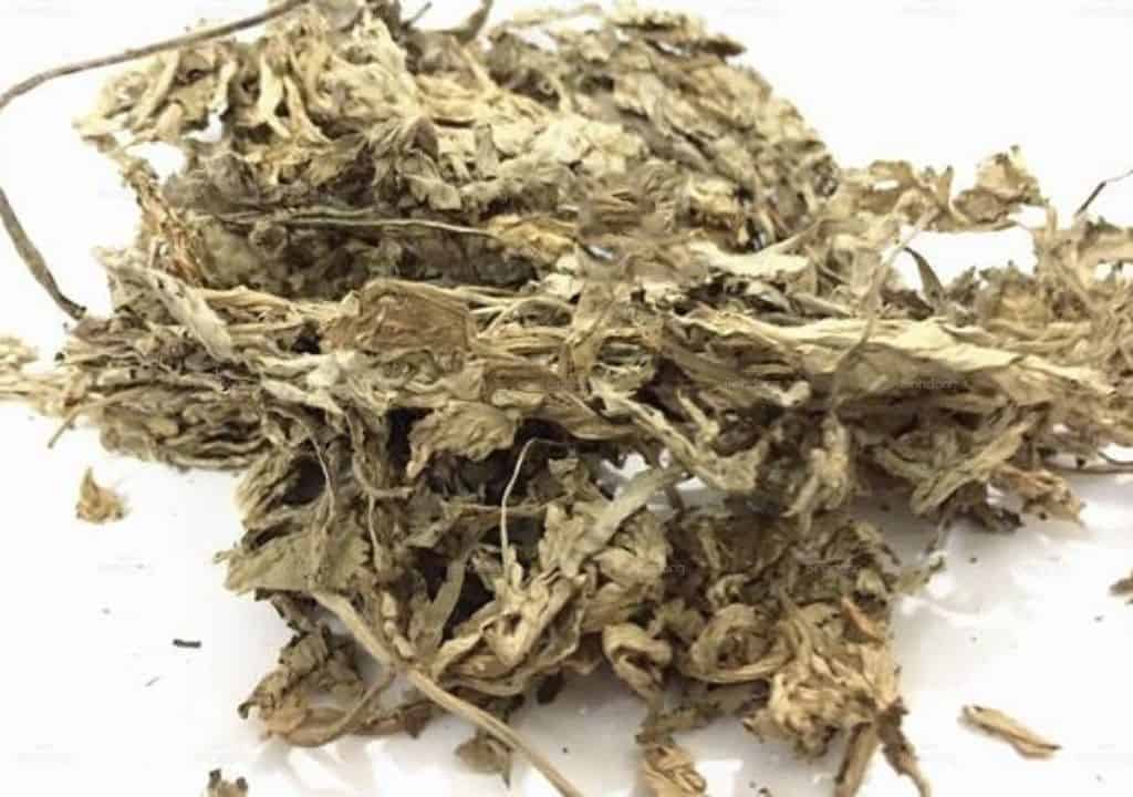 Cây ngải diệp