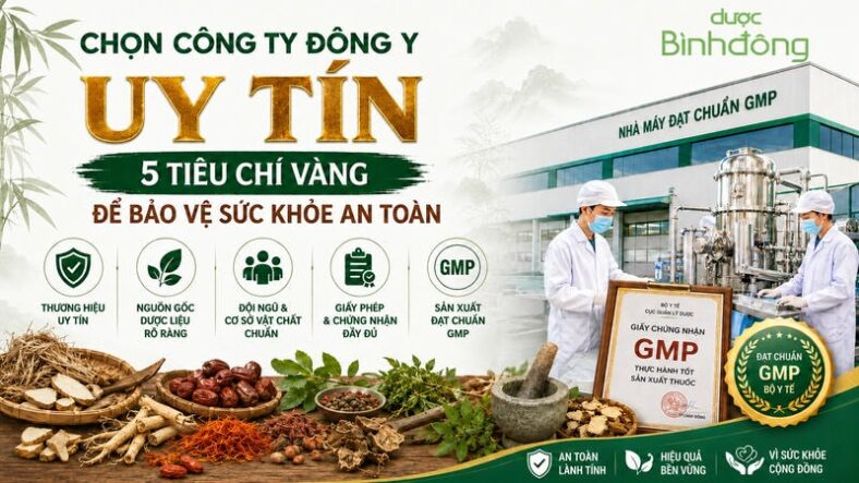 Thumbnail minh họa 5 tiêu chí chọn công ty Đông y uy tín, gồm thương hiệu, nguồn gốc dược liệu, đội ngũ, giấy phép và sản xuất đạt chuẩn GMP.