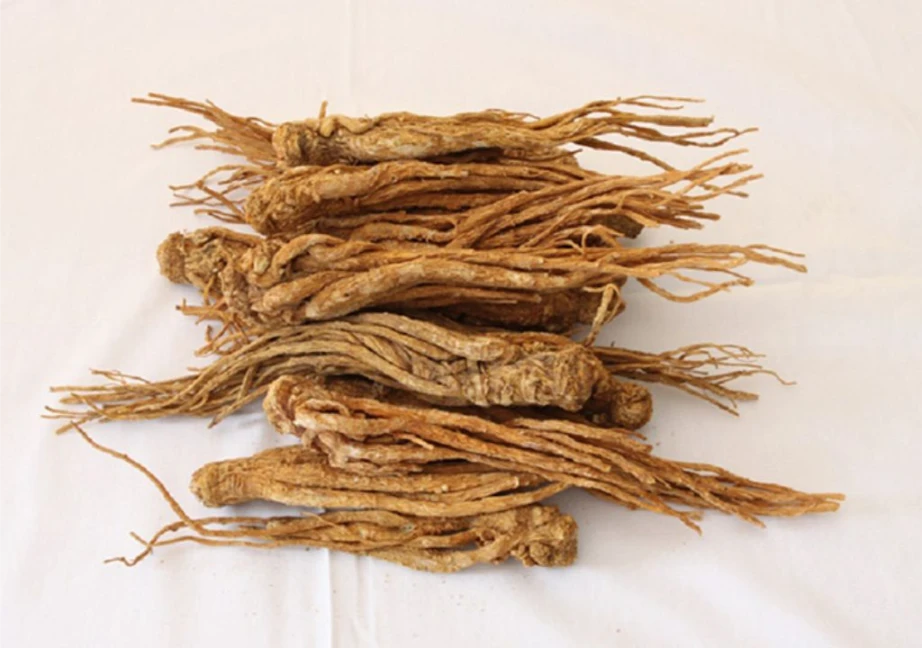 Vị thuốc đương quy