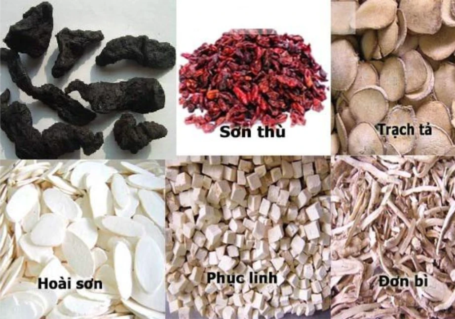 Tổng hợp các bài thuốc điều trị bệnh