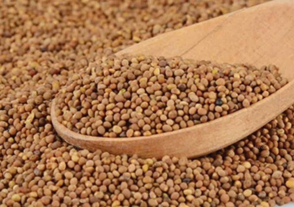 Hình ảnh vị thuốc thỏ ty tử sau khi được chế biến