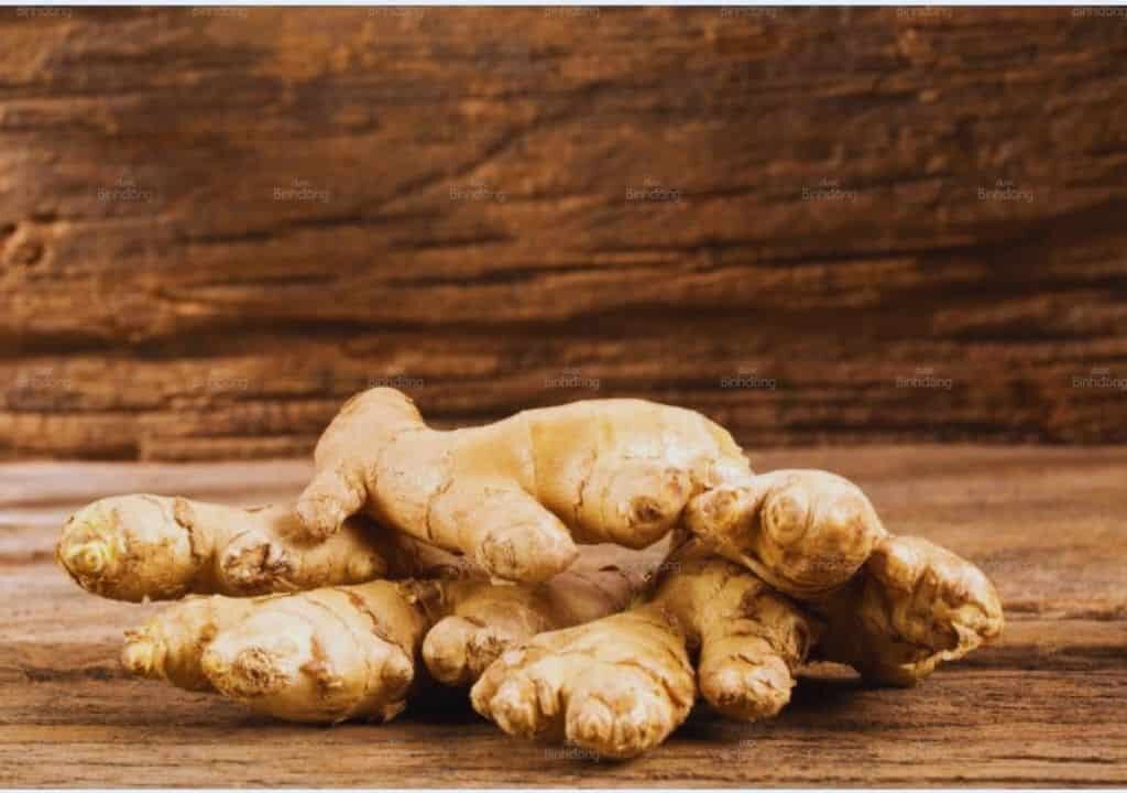 Hình ảnh về củ gừng tươi sau khi được thu hái