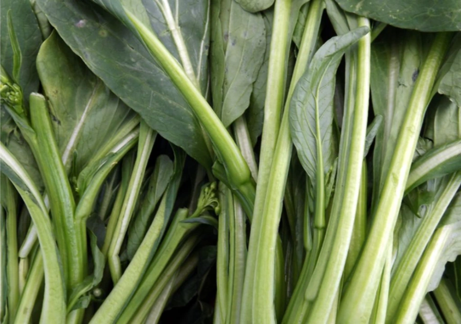 Hình ảnh về cây cải canh điều trị bệnh