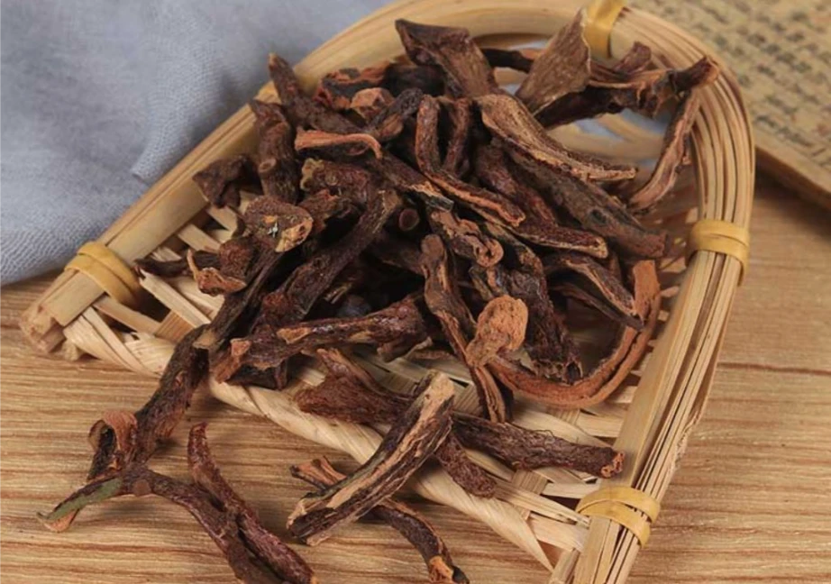Hình ảnh về vị thuốc cốt toái bổ chữa xương khớp