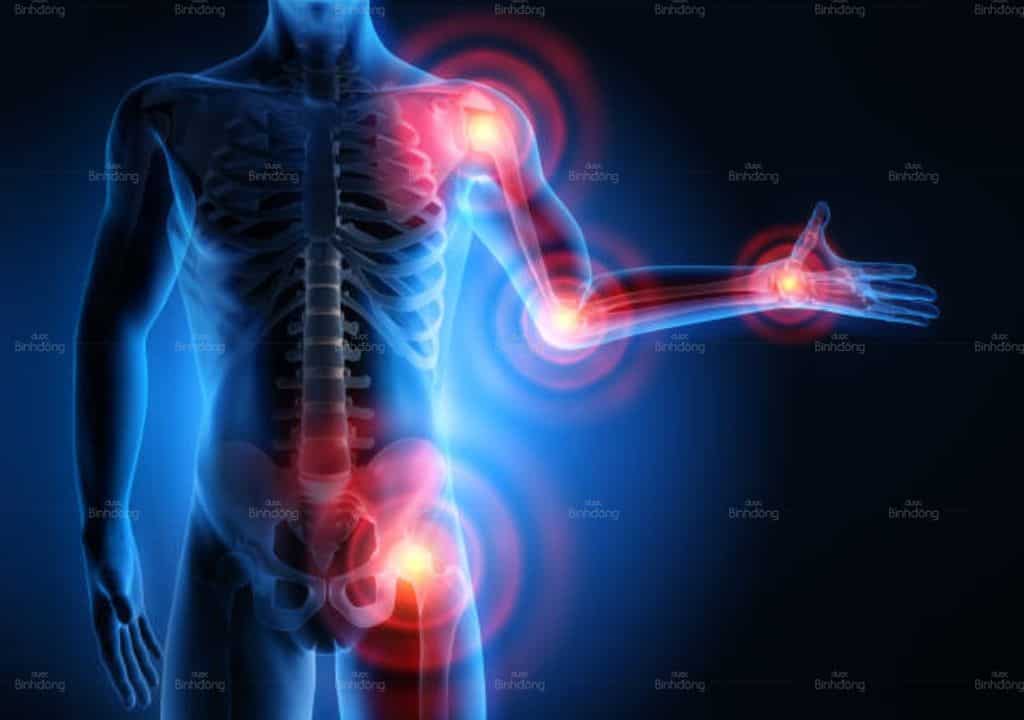Hình ảnh về các bộ phận xương khớp trong cơ thể con người