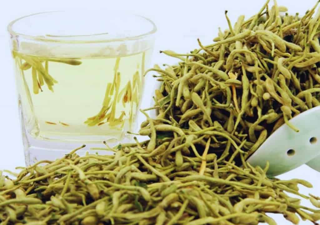 Hình ảnh về hoa kim ngân được dùng làm thuốc
