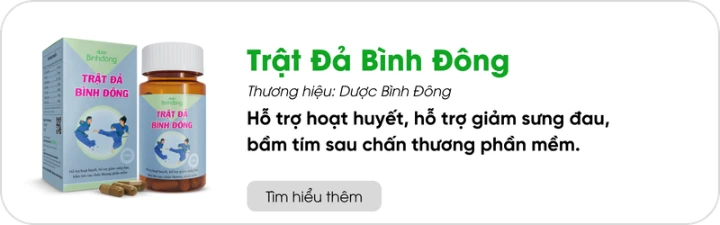 TPBVSK Trận Đả Bình Đông