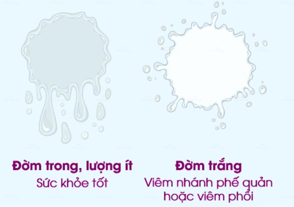Hình ảnh về 2 loại màu sắc của đờm