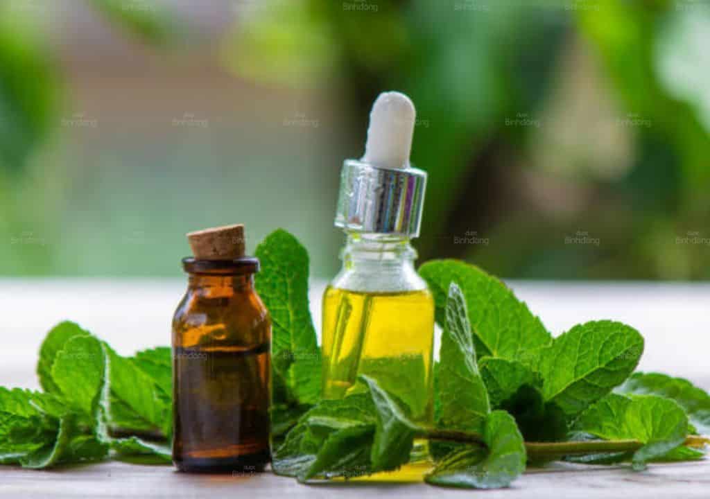 Hình ảnh về chai tinh dầu và lá bạc hà giúp điều trị bệnh mất ngủ