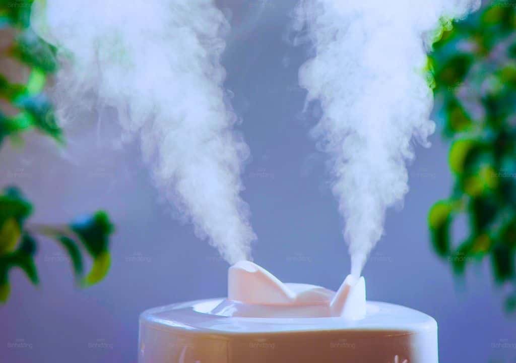 Hình ảnh về máy tạo độ ẩm và phun ra khói có tác dụng giảm thở khò khè