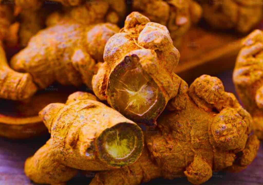 Hình ảnh về cây thuốc tam thất