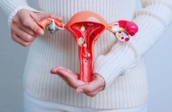Hình ảnh về người phụ nữ đang cầm mô hình cơ quan sinh dục của phụ nữ