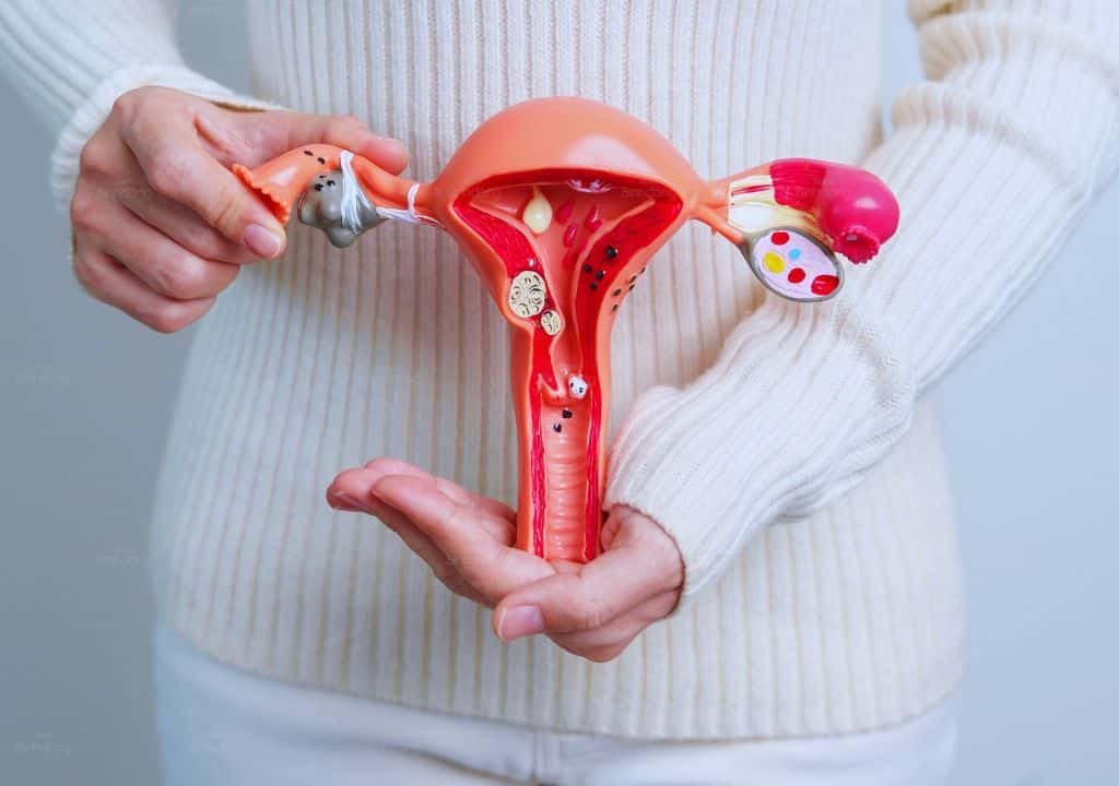 Hình ảnh về người phụ nữ đang cầm mô hình cơ quan sinh dục của phụ nữ