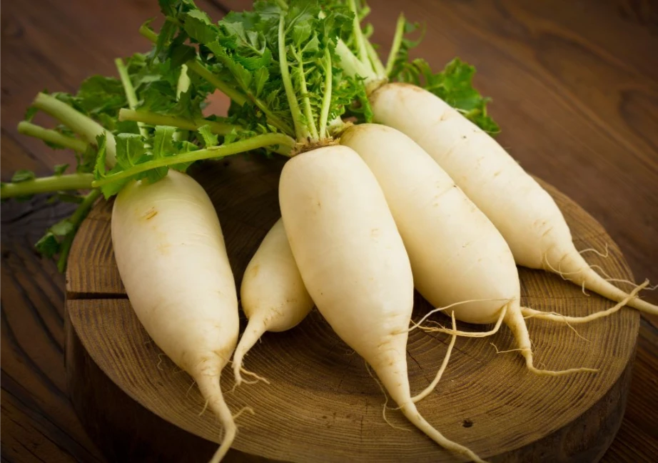 Hình ảnh về củ cải trắng thực phẩm tốt cho phổi