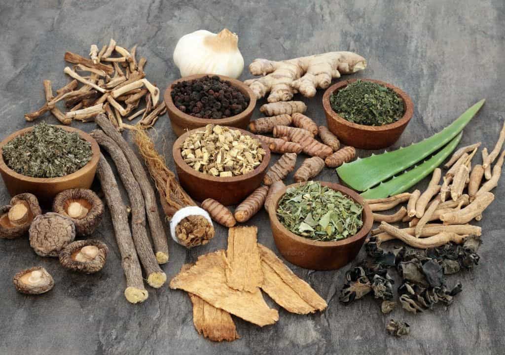 Hình ảnh về các bài thuốc điều hòa kinh nguyệt đông y