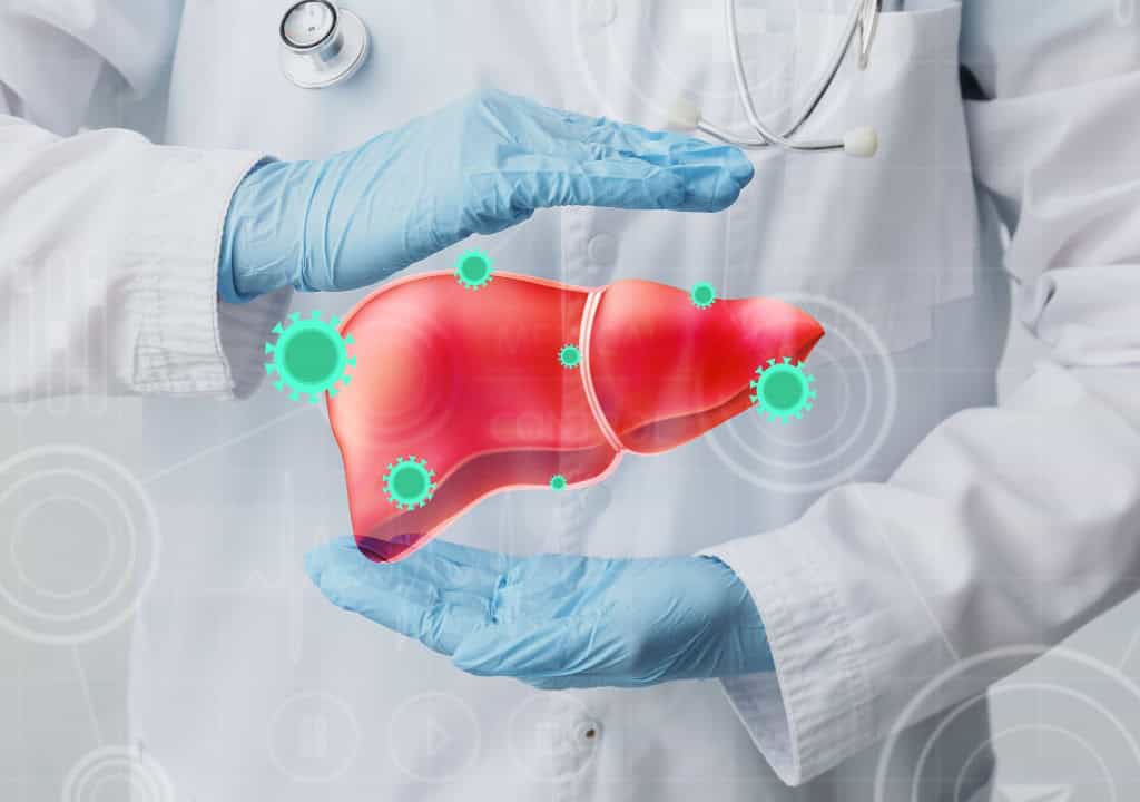 Hình ảnh người bác sĩ đang cầm trên tay mô hình của gan