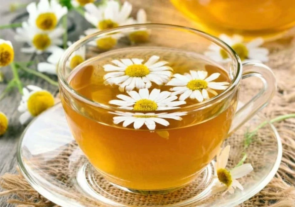 Hình ảnh về trà hoa cúc giải độc gan
